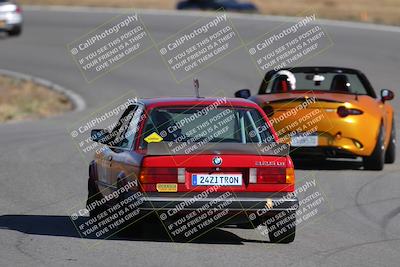 media/Nov-19-2023-Extreme Speed (Sun) [[bd0eec5490]]/Purple/Back Shots/